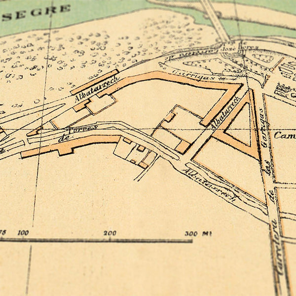 Lérida en 1910 - Detalle